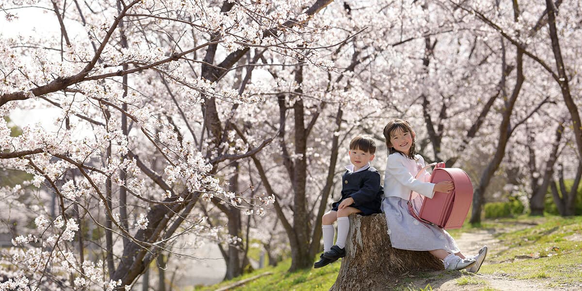 豊中市の桜でのロケーション撮影